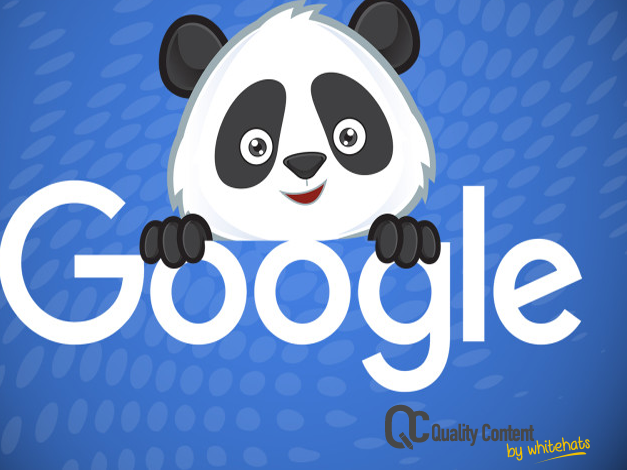 Google Panda Becomes Core and What It Means for Your Website-Website Content Writing Services in Dubai-QualityContent